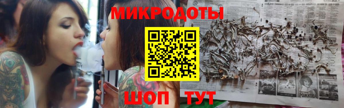 Псилоцибиновые грибы Psilocybe  Вход с VPN  Кохма 