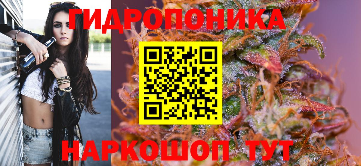 Конопля MAZAR Кохма